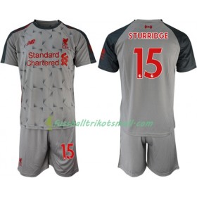 Fußballtrikots Liverpool Sturridge 15 Kinder 2018-2019 Kurzarm Ausweichtrikot kaufen